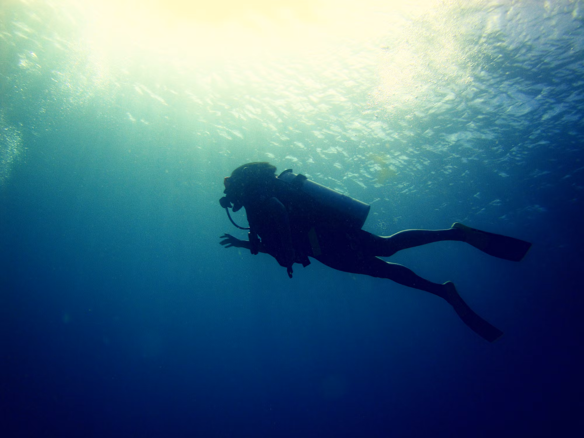Embracing the Depths: A Comprehensive Guide to Diving Adventures