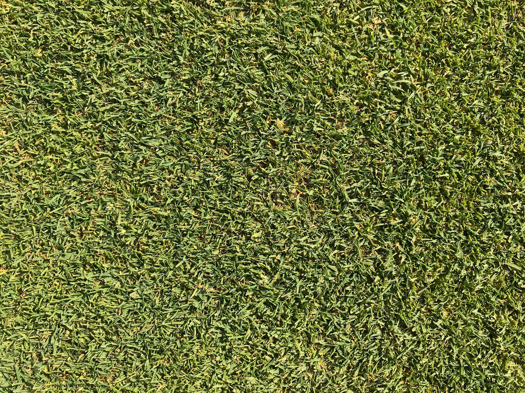 Golf Fitness: Essential Exercises to Improve Your Game